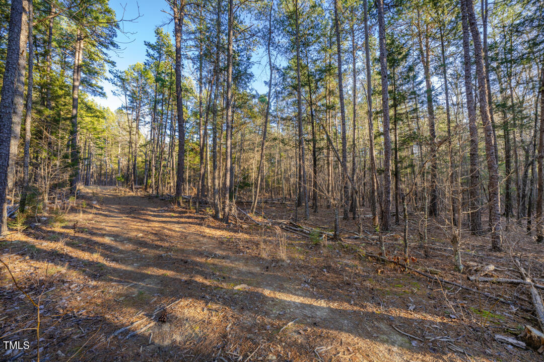8596 Redding 1-B Road