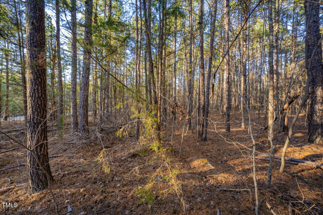 8596 Redding 1-B Road