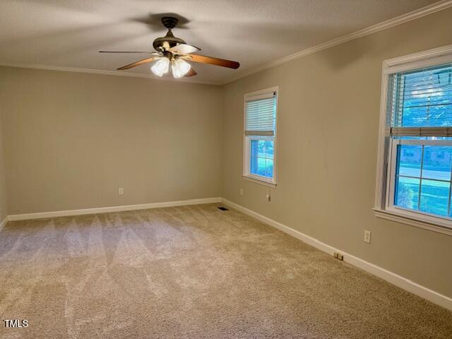 1005 Driftwood Drive