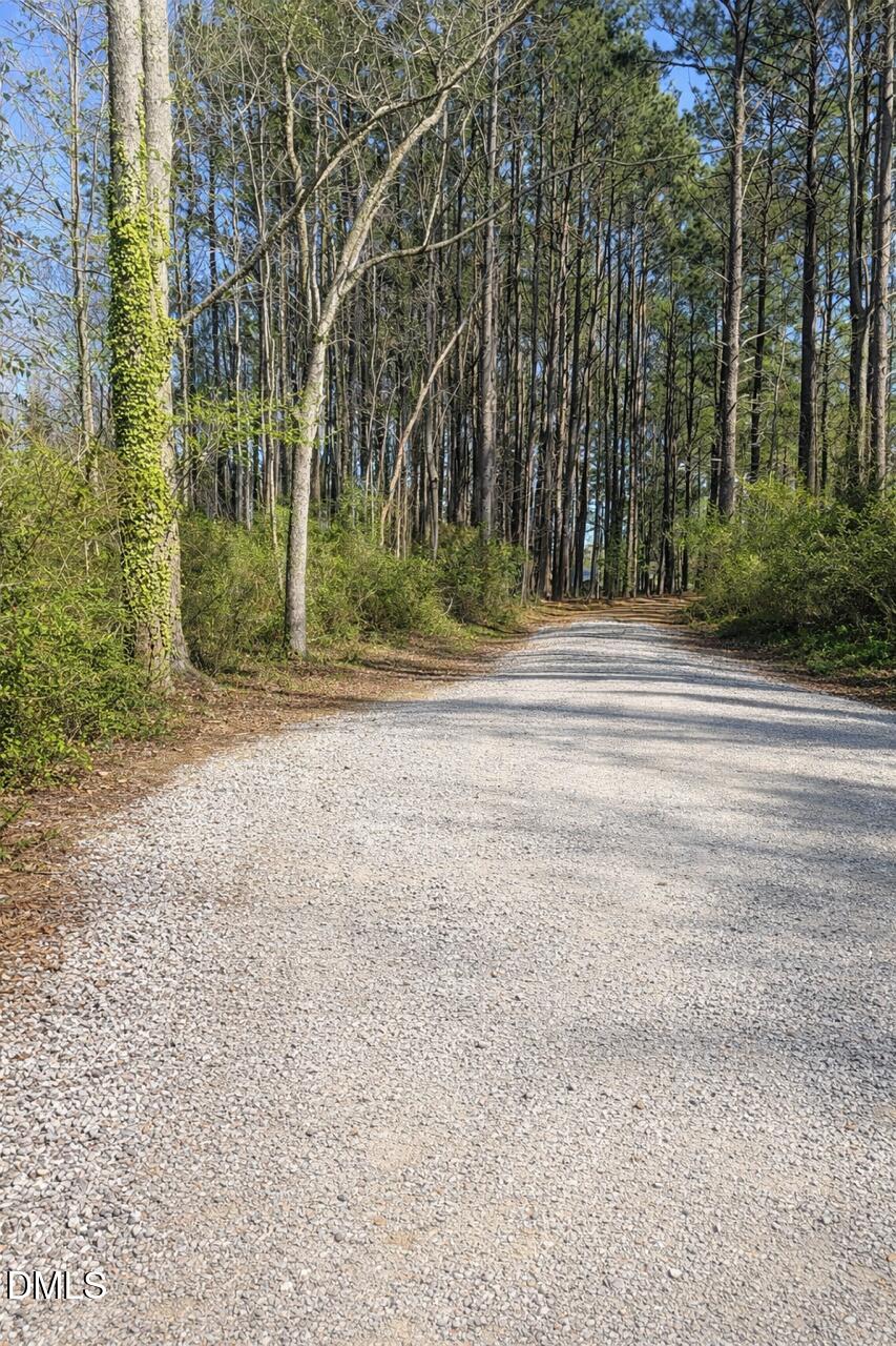 207 Baldy Murphy Road