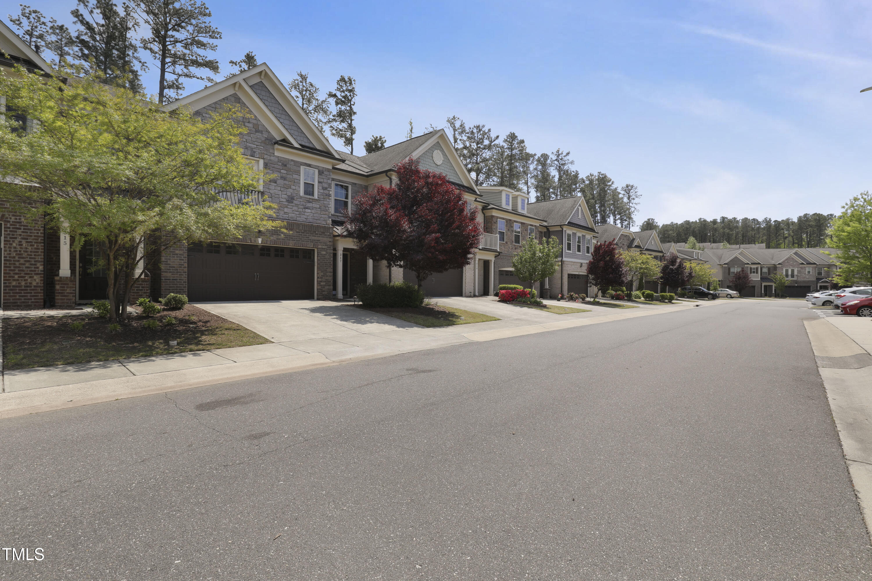 317 Castle Rock Lane
