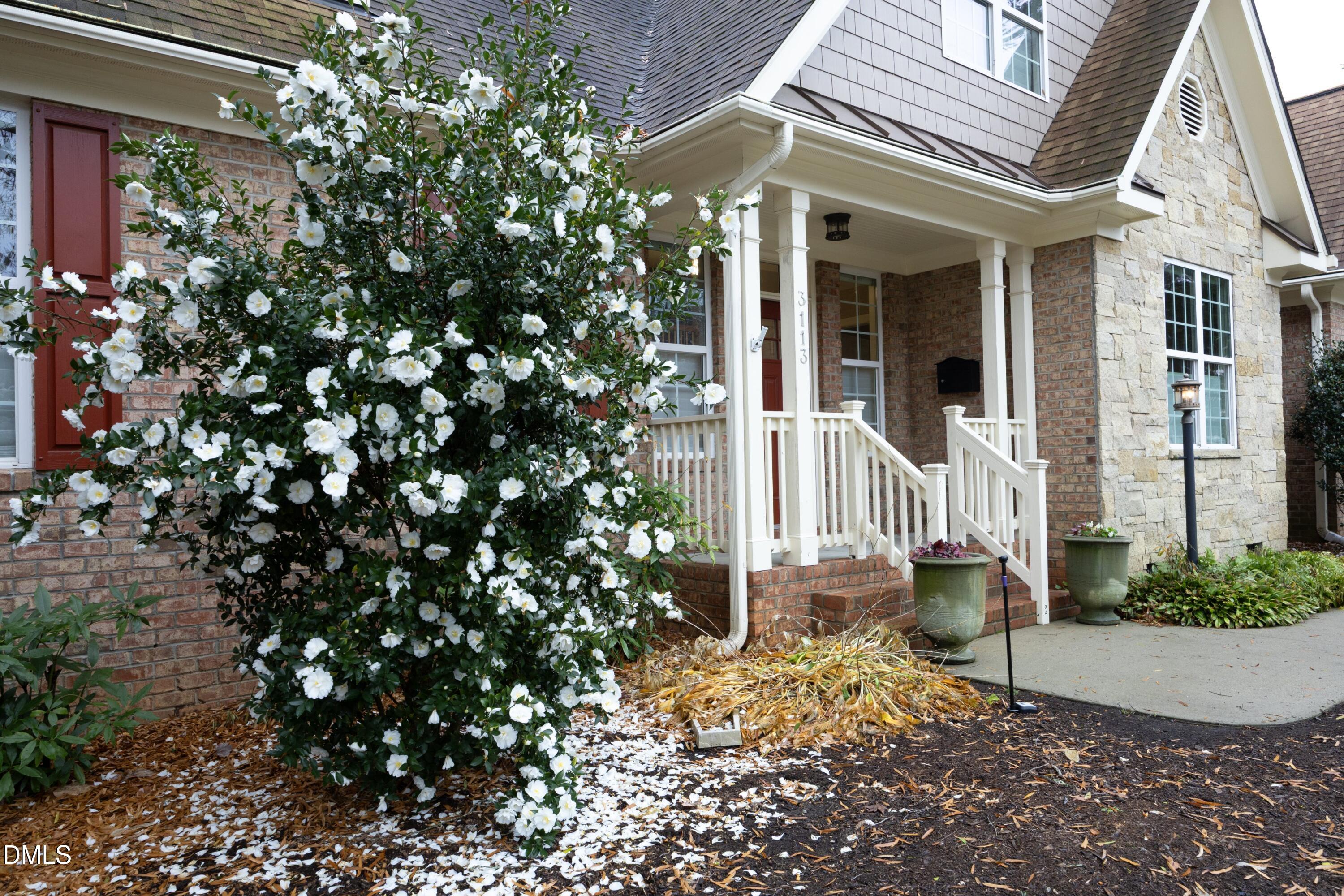 3113 Clark Ave Avenue