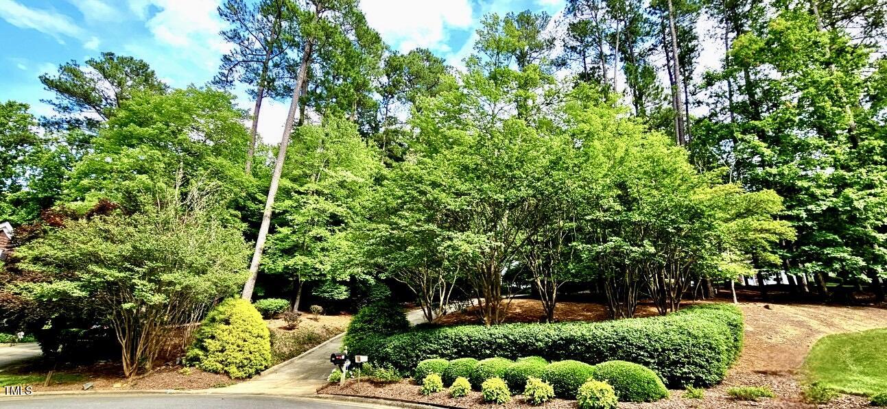 216 Copper Beech Court
