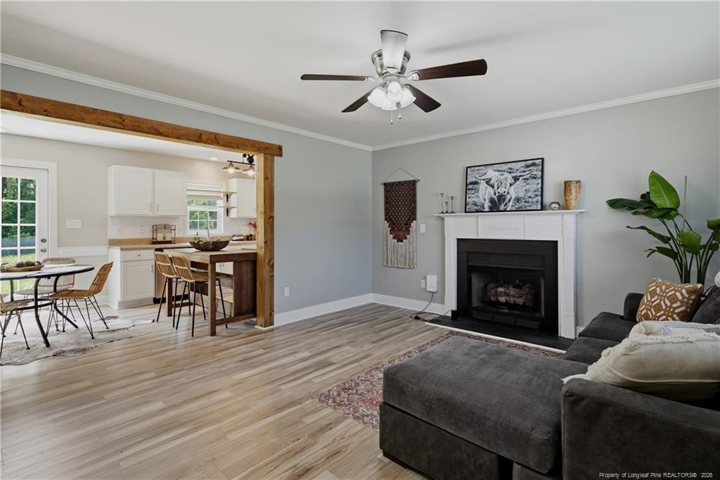 246 Fallingleaf Drive