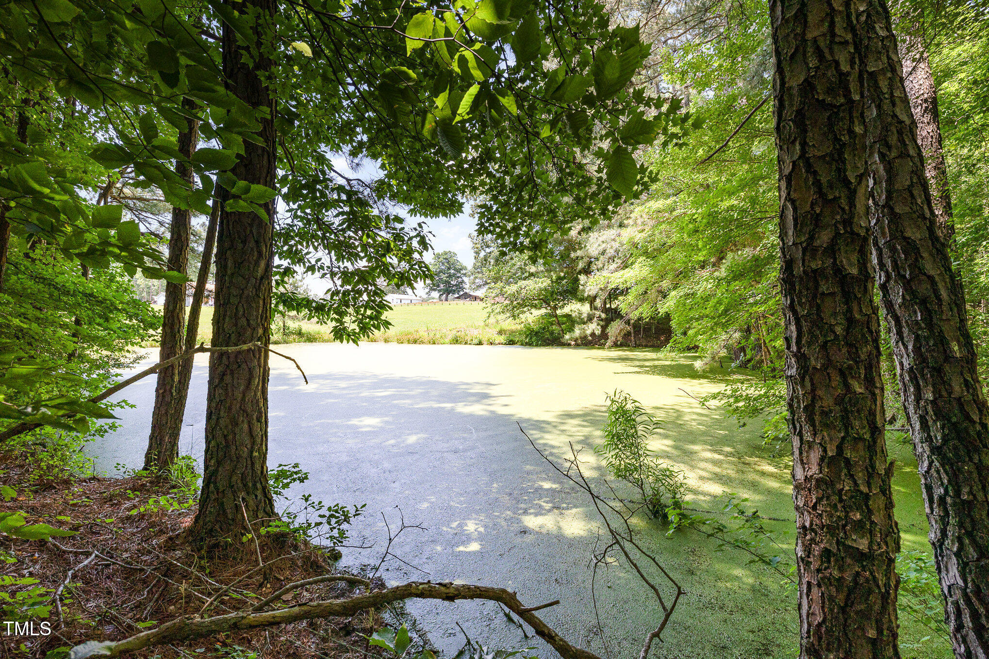 Lot 8 Stallings Rd