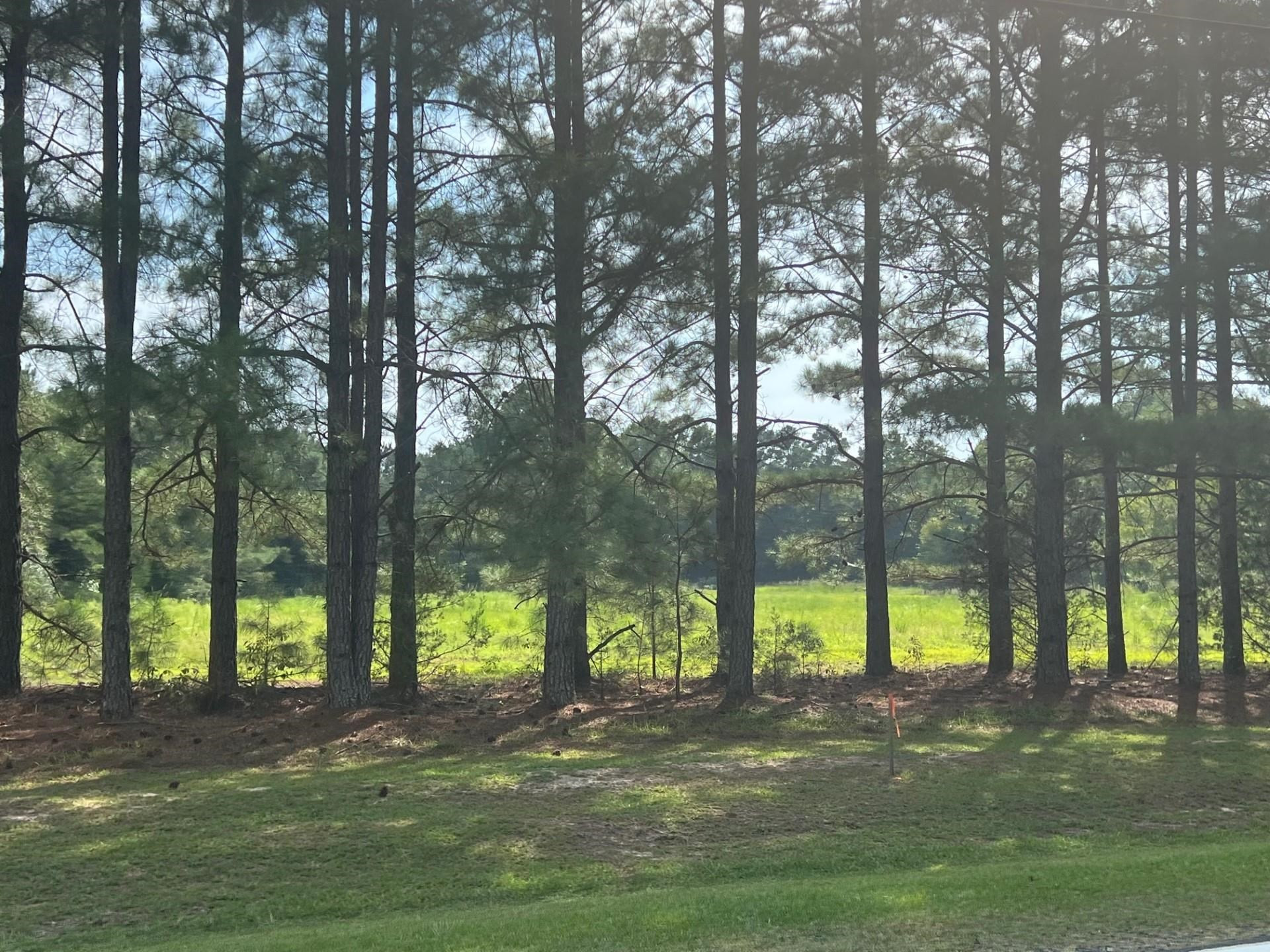 3466 Matthews Mill Pond Road