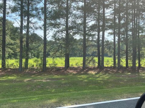 3466 Matthews Mill Pond Road Angier NC 27501