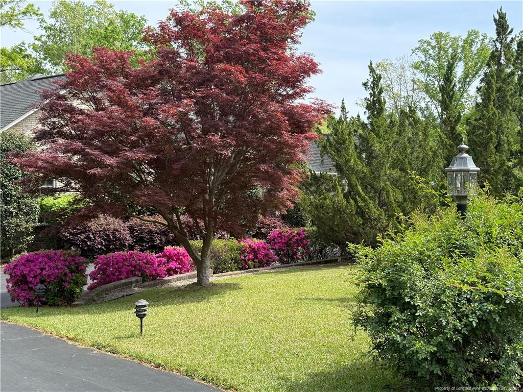 39 Indian Trail