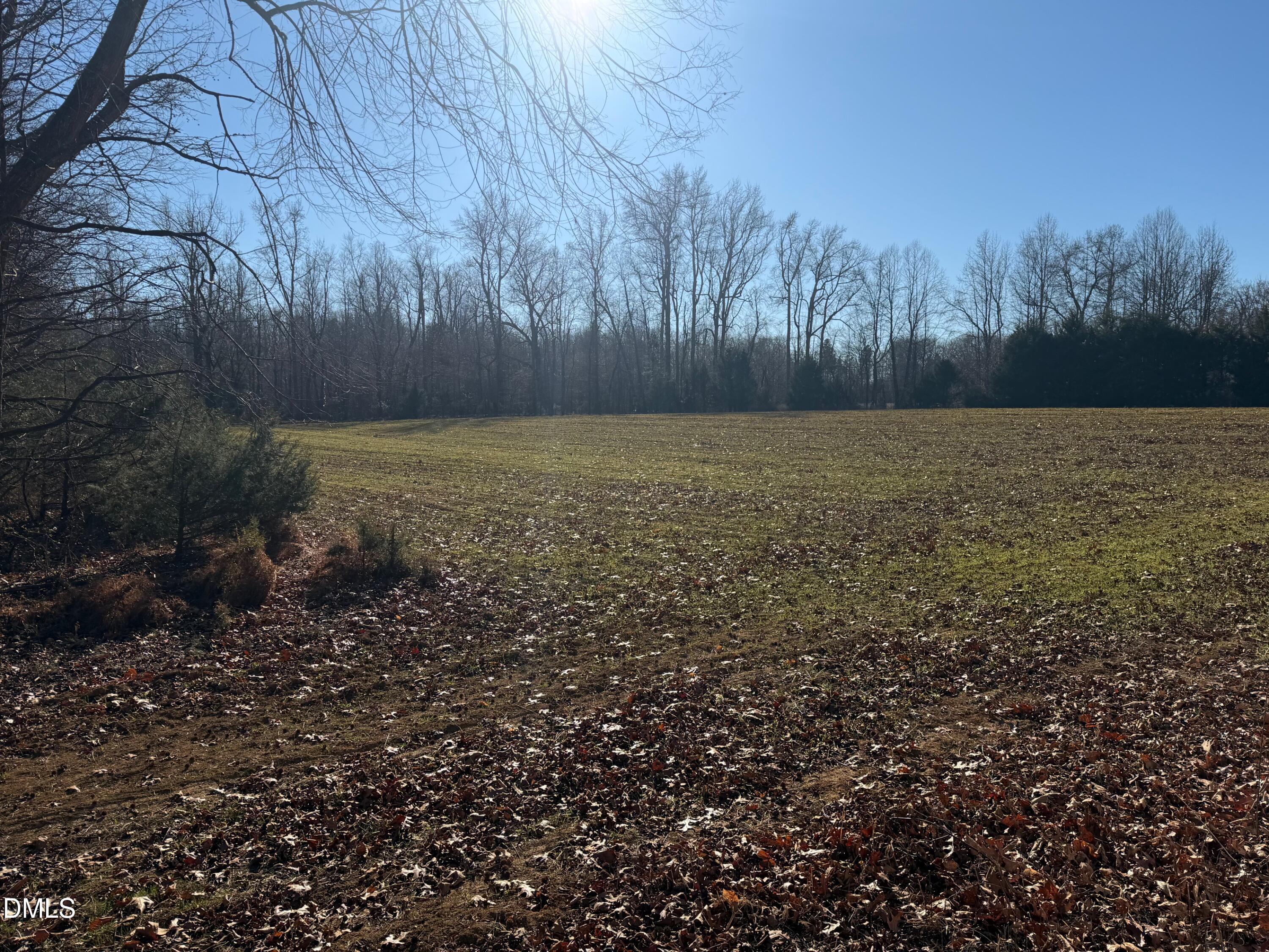 0 Lewis Winstead Loop Road