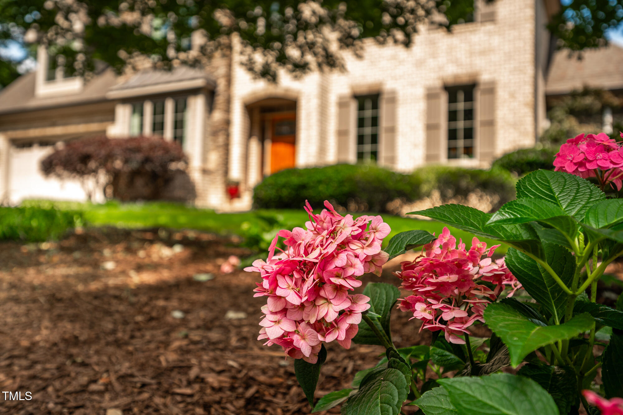 429 Carolina Circle