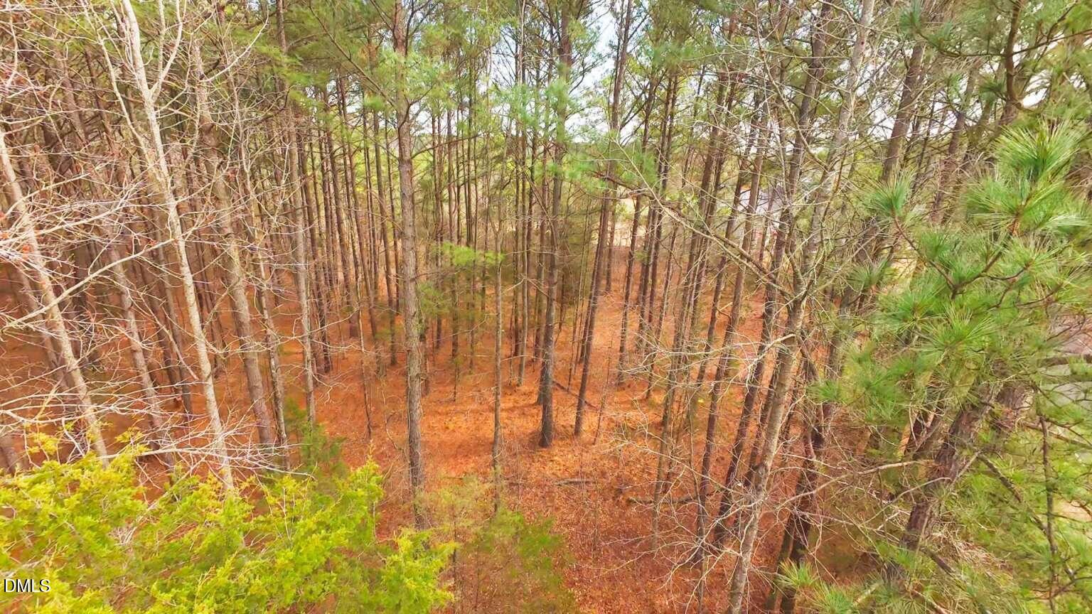 0 Mount Olivet Church Road