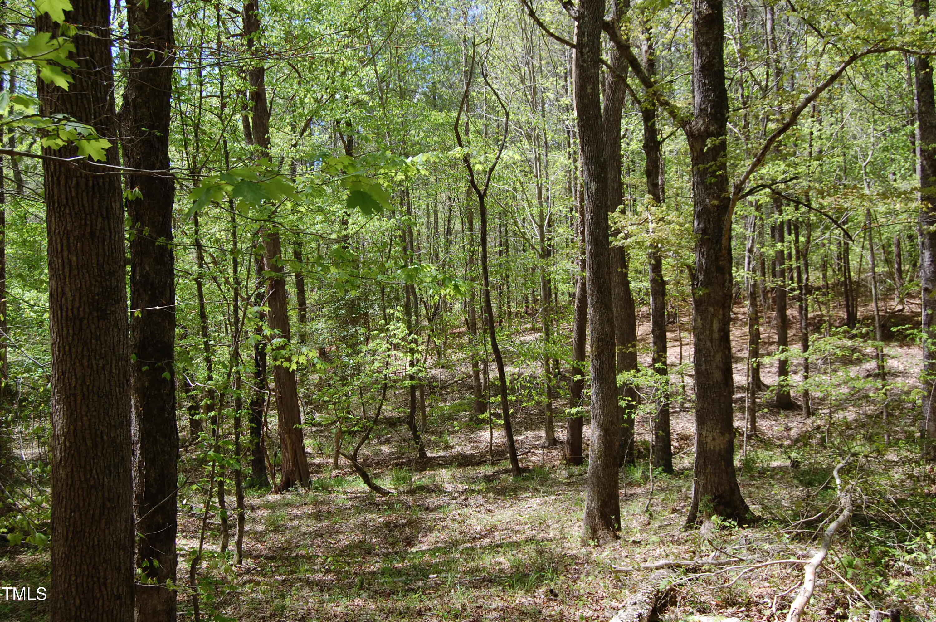 0 Egypt Mountain Road
