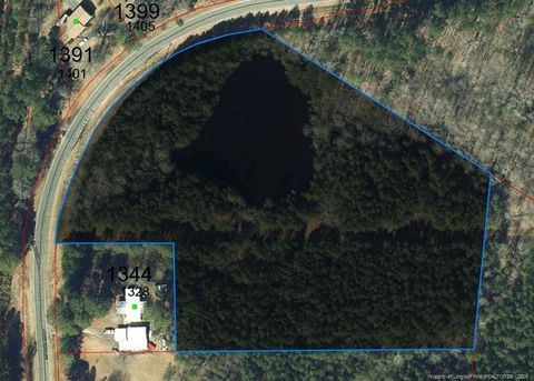 0 Lower Moncure Road Sanford NC 27330