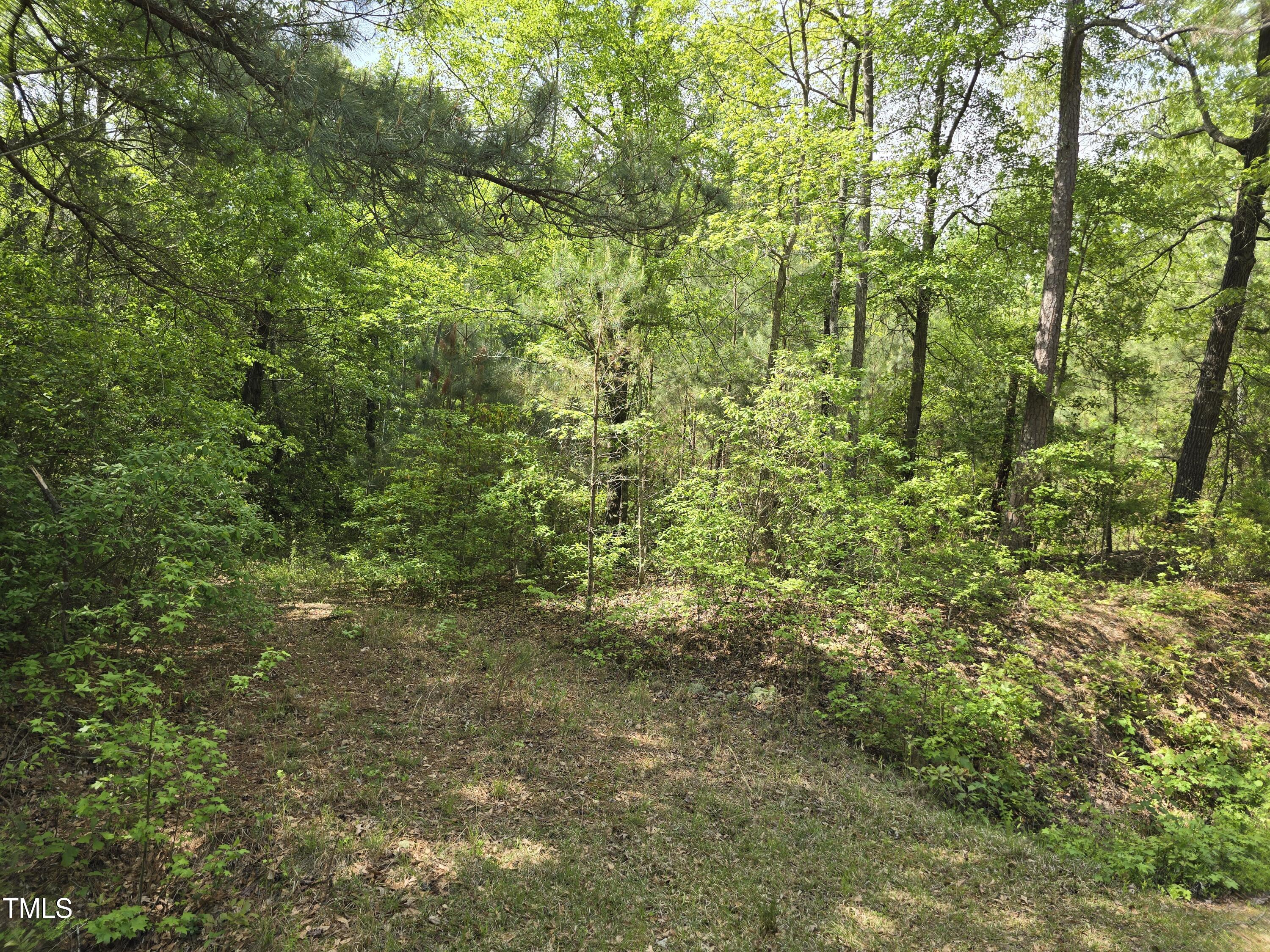 735 Old Williams Road