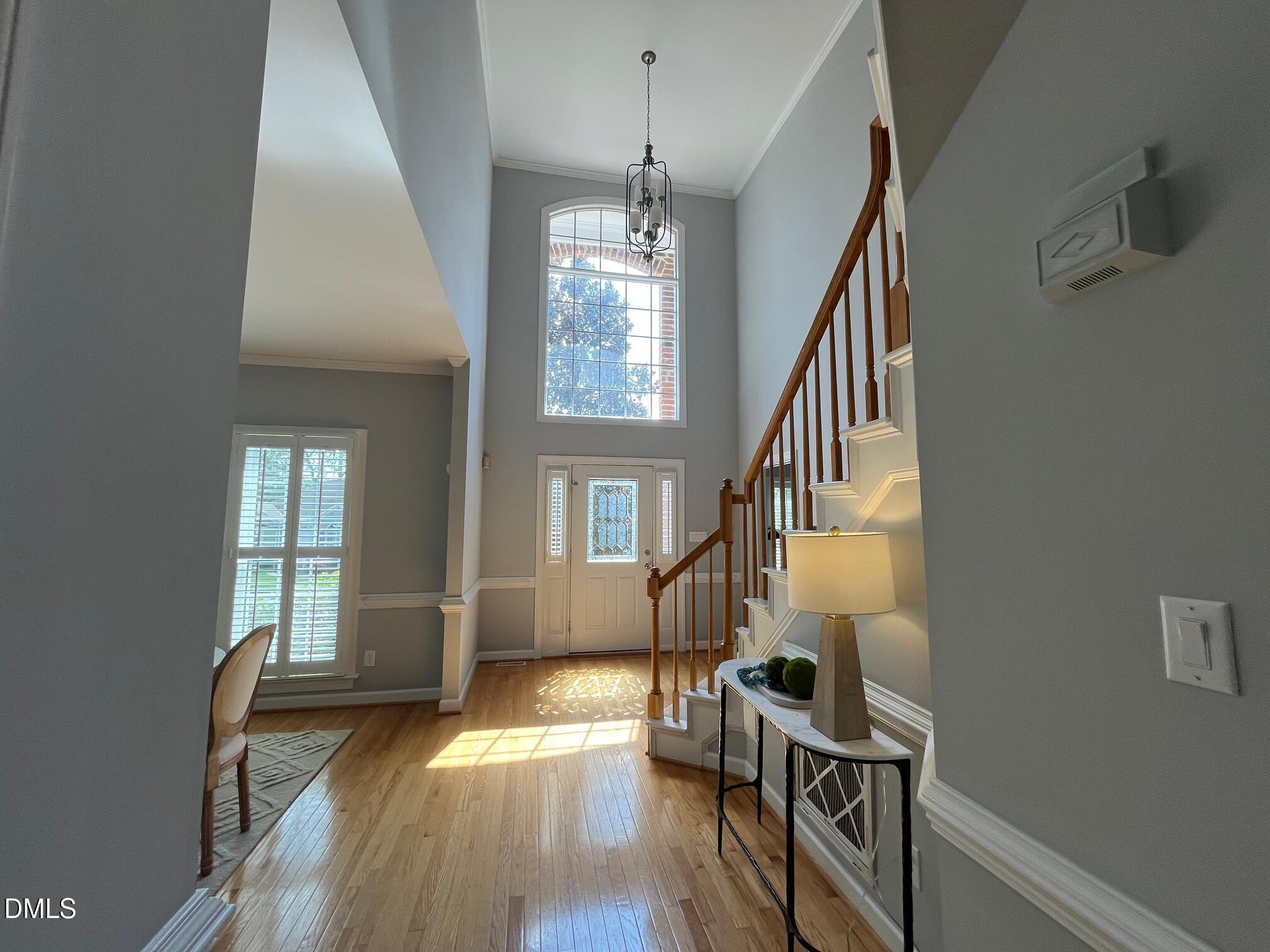 703 Cricketfield Lane