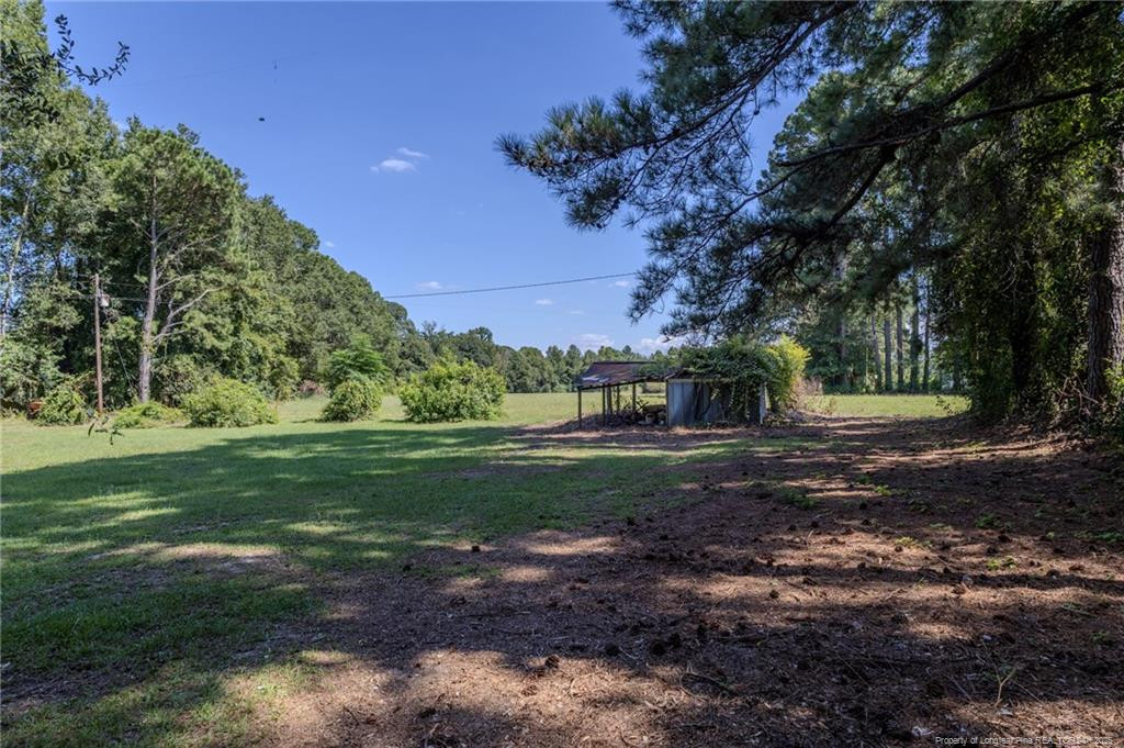 374 Snake Road