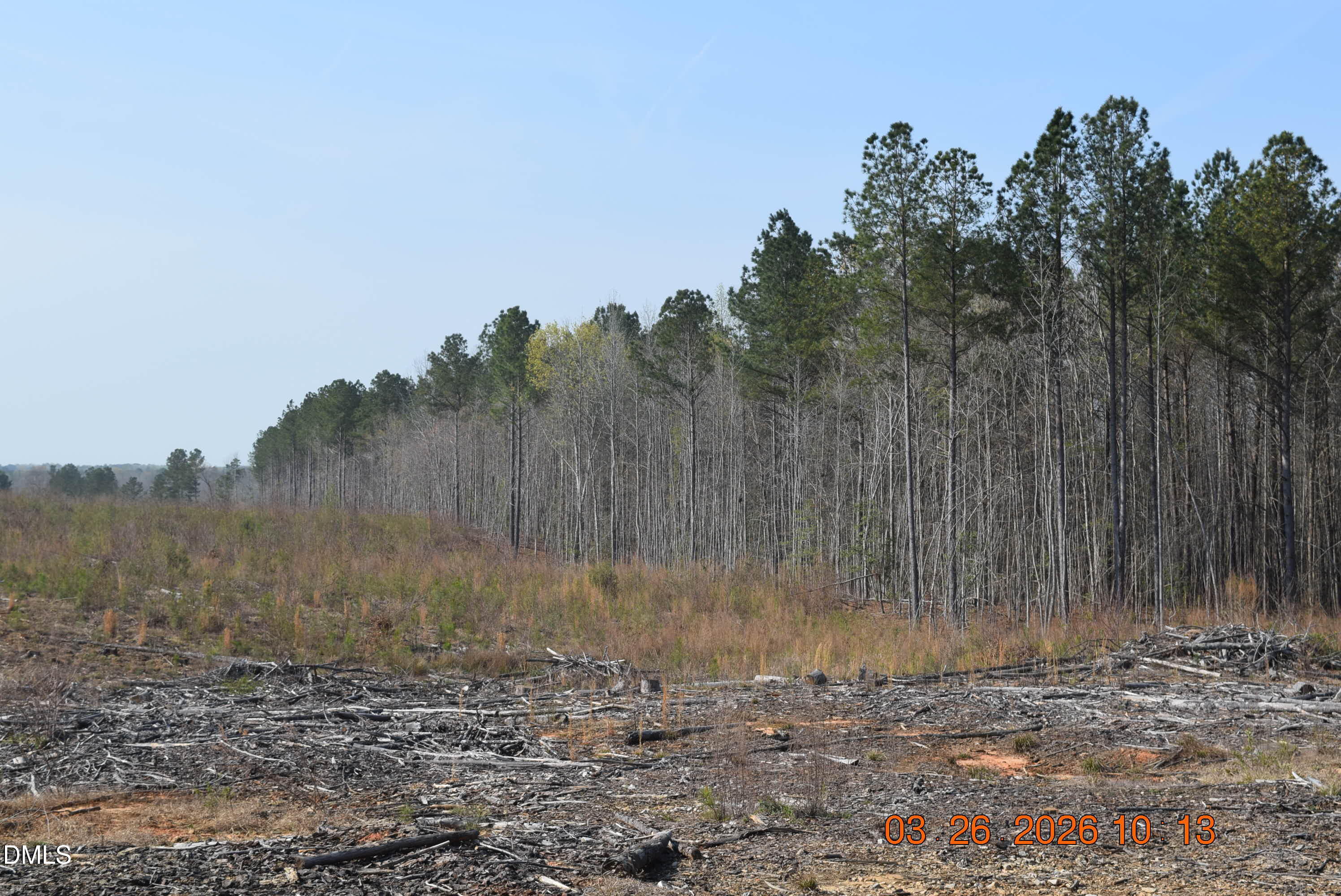 1080 Lickskillet Road