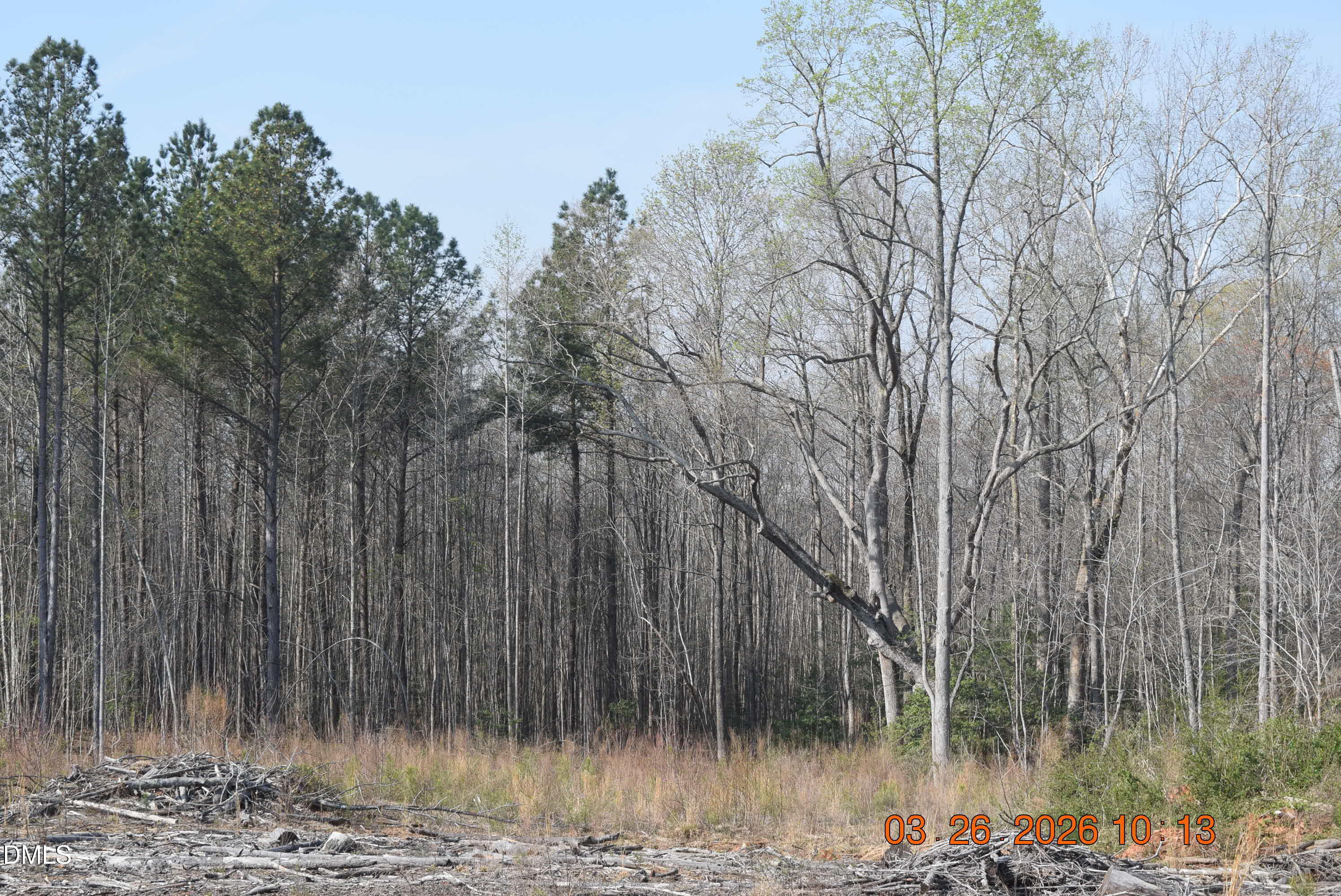 1080 Lickskillet Road