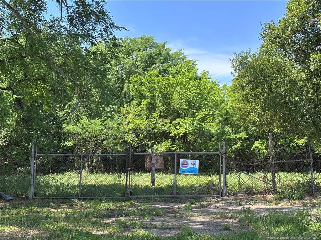 447 Hillsboro Street