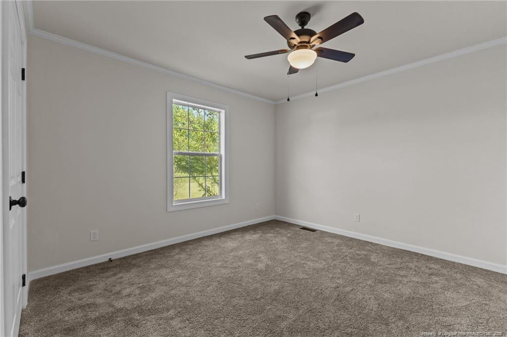 189 Little Coharie Lane