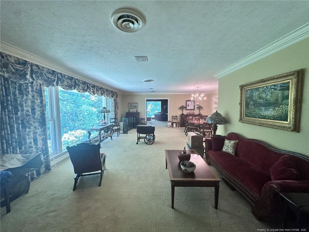 284 Back Creek Road