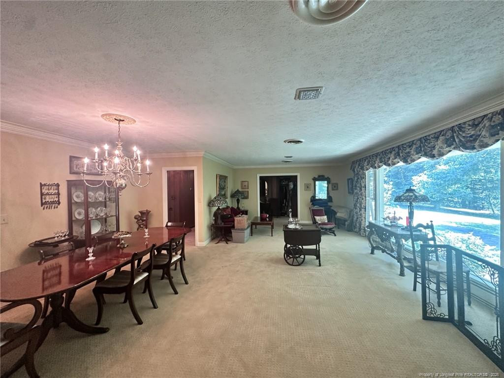 284 Back Creek Road
