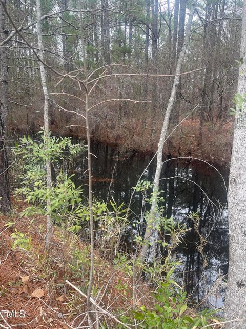 0 Bumpy Lane Sanford NC 27332