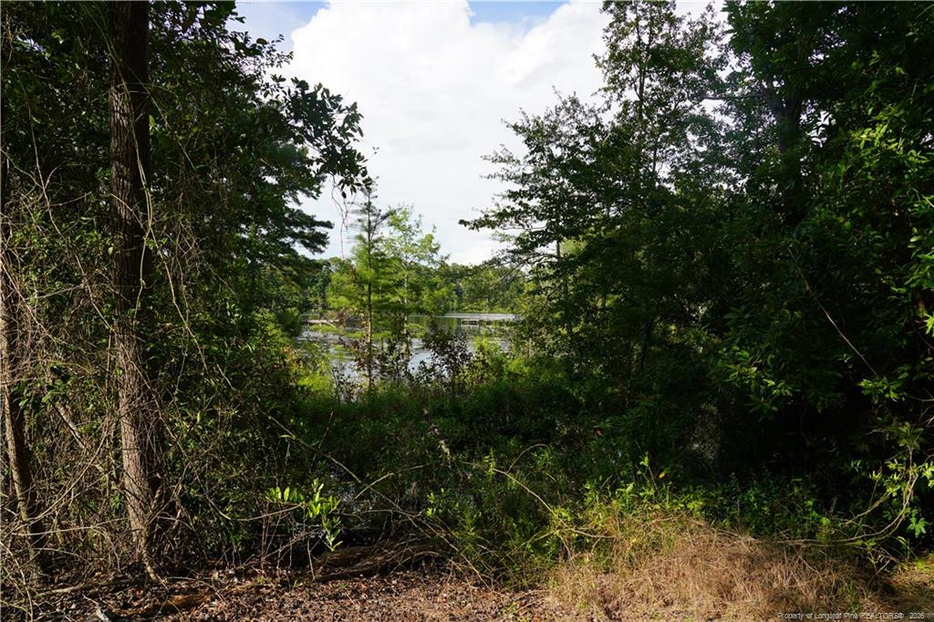 LOT 6 Lakeview Drive
