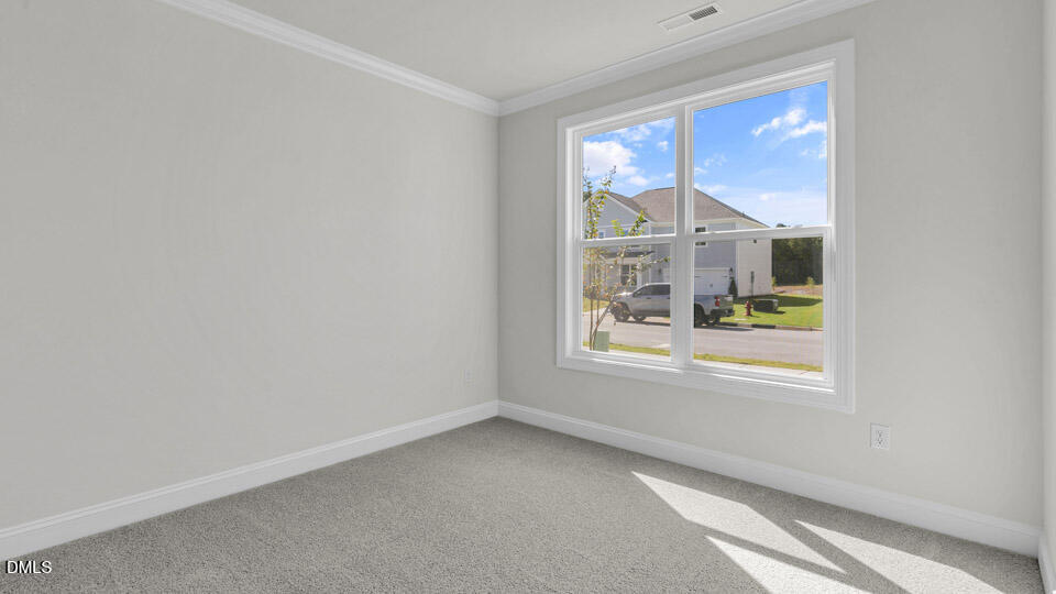 83 West Fire Opal Court