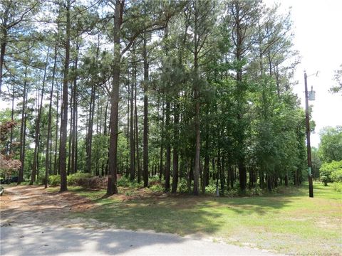 0 Knollwood Lane Broadway NC 27505