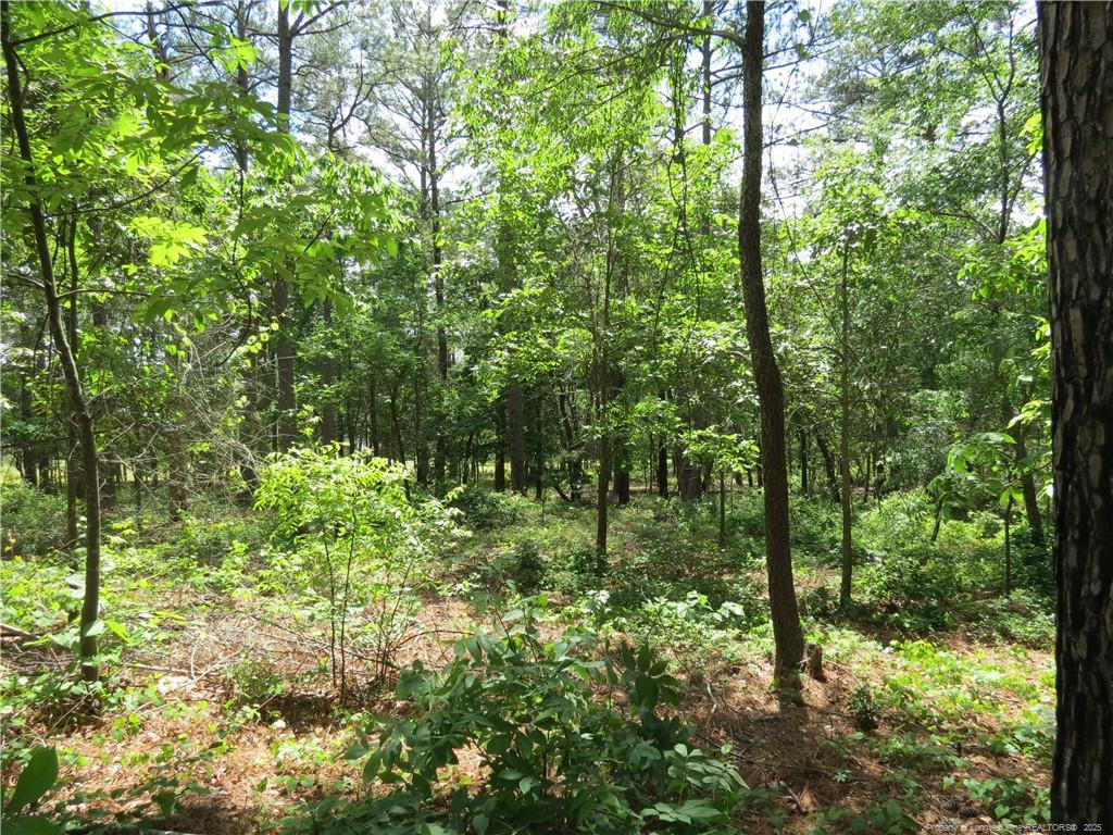 0 Knollwood Lane