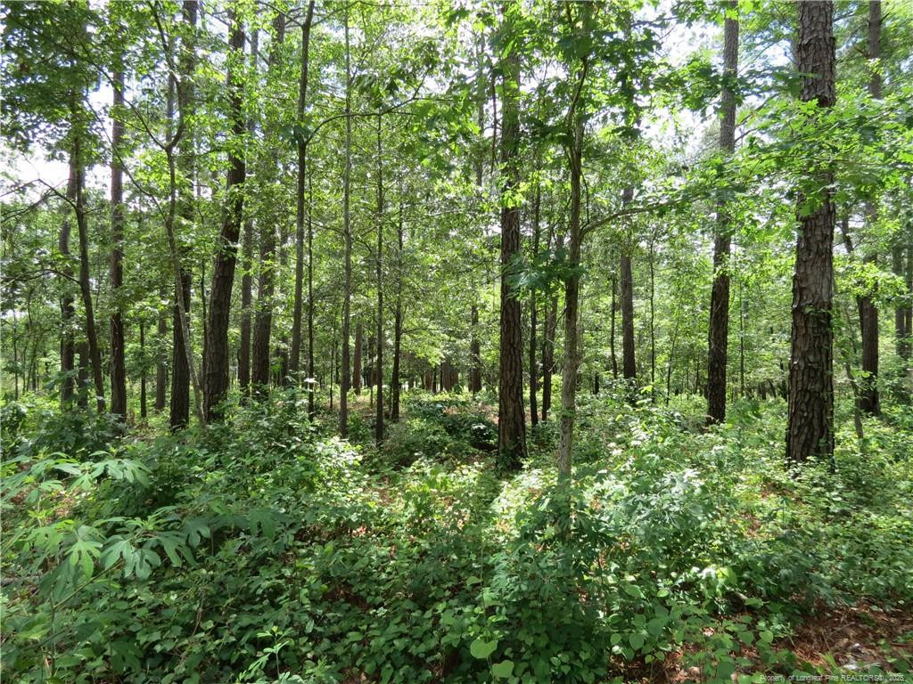 0 Knollwood Lane