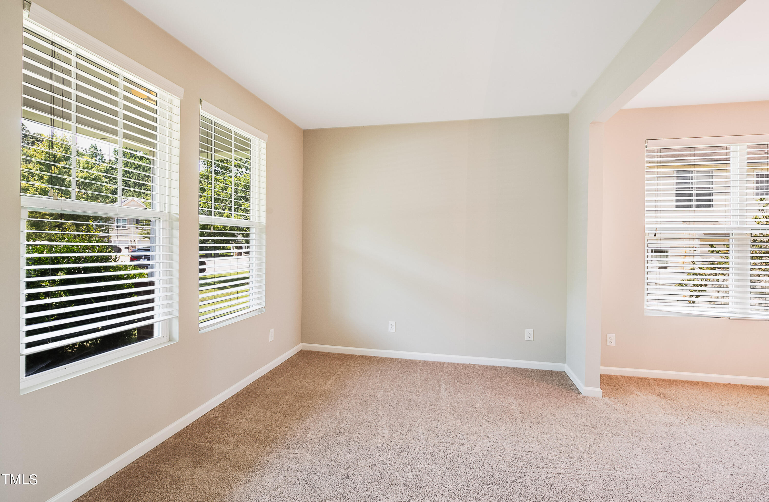 3513 Diamond Springs Drive