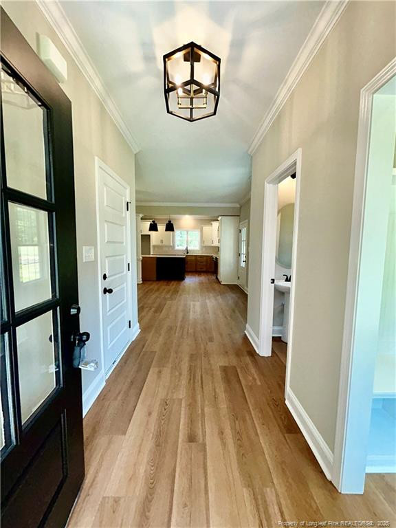 502 Bald Eagle Drive