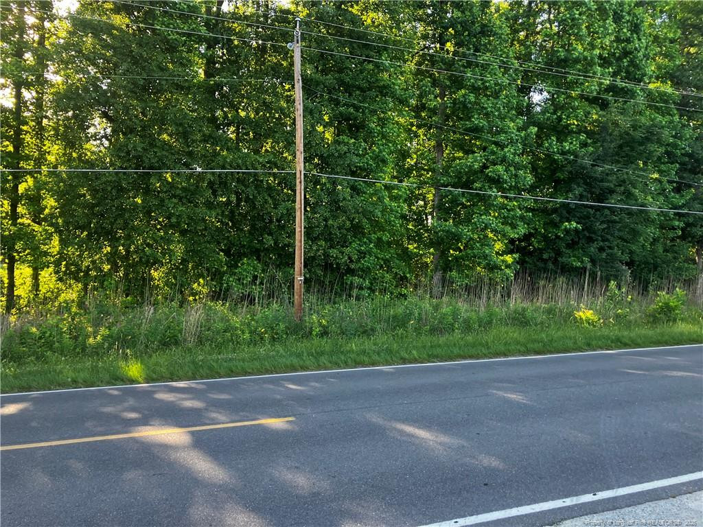 0 Lemon Springs Road