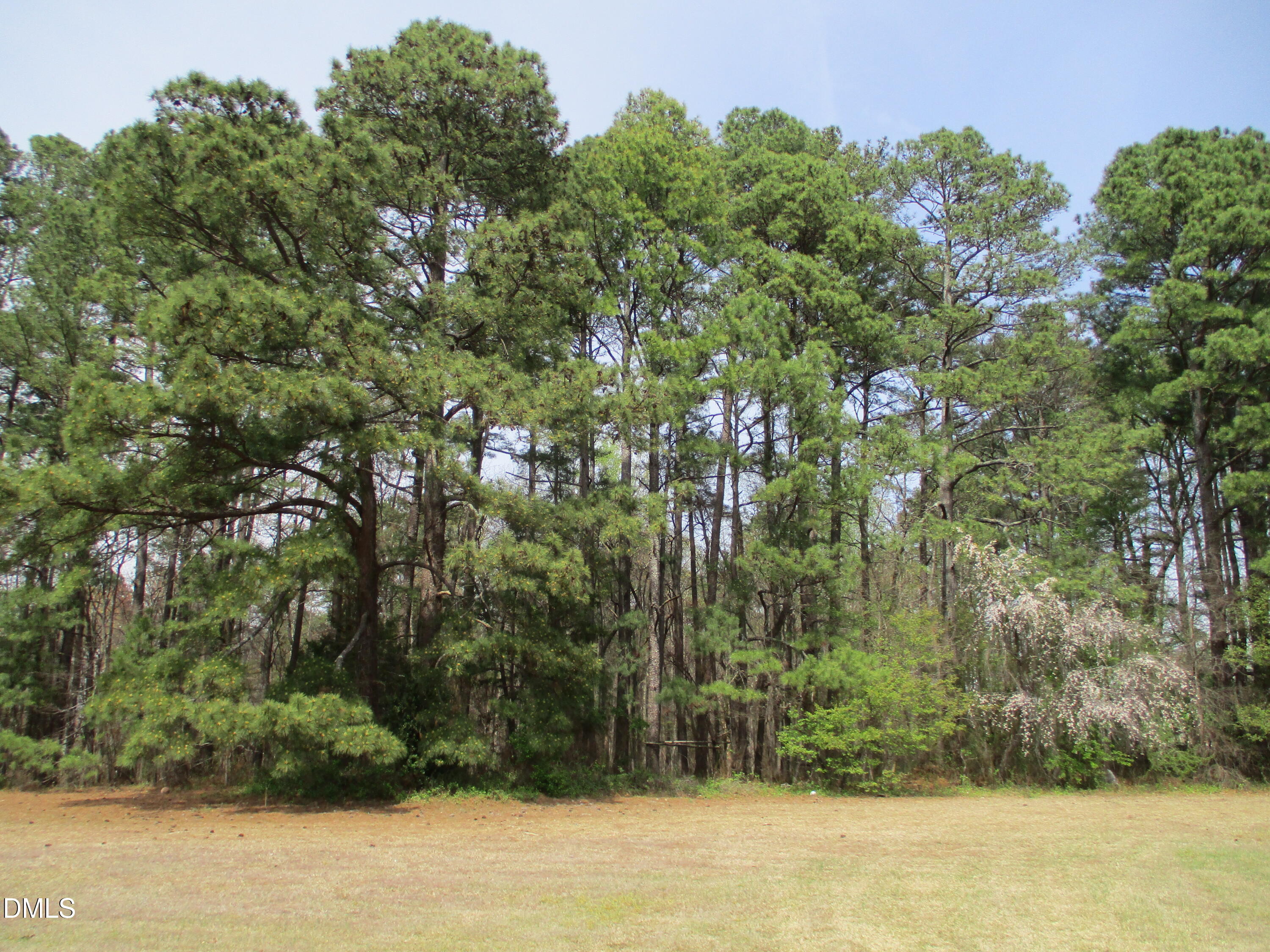 0 Jones Sausage Road