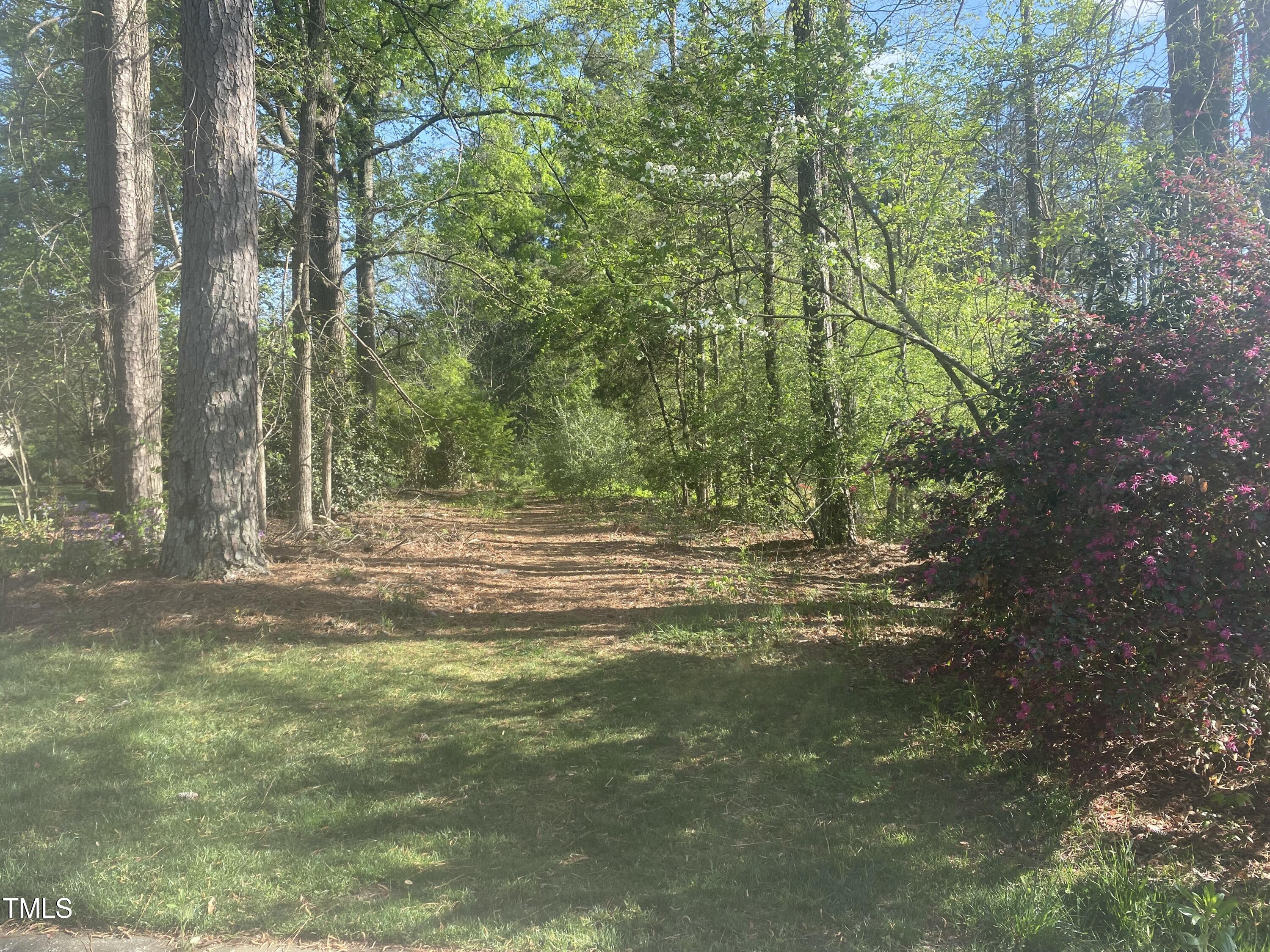 228 Curlew Drive