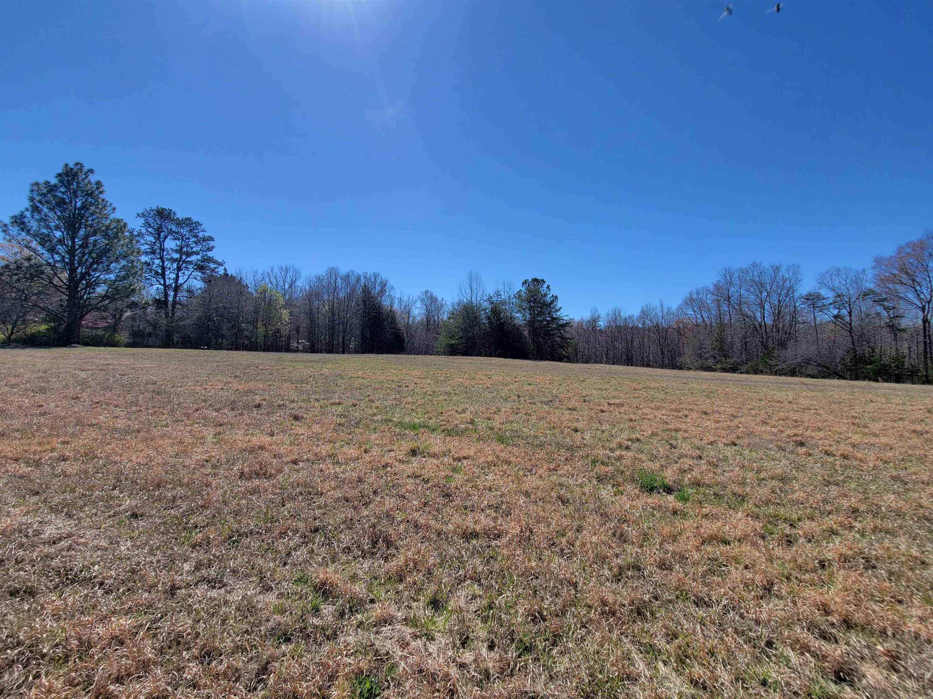 Photo 6 of 12 of 2110 Basin Creek Road land