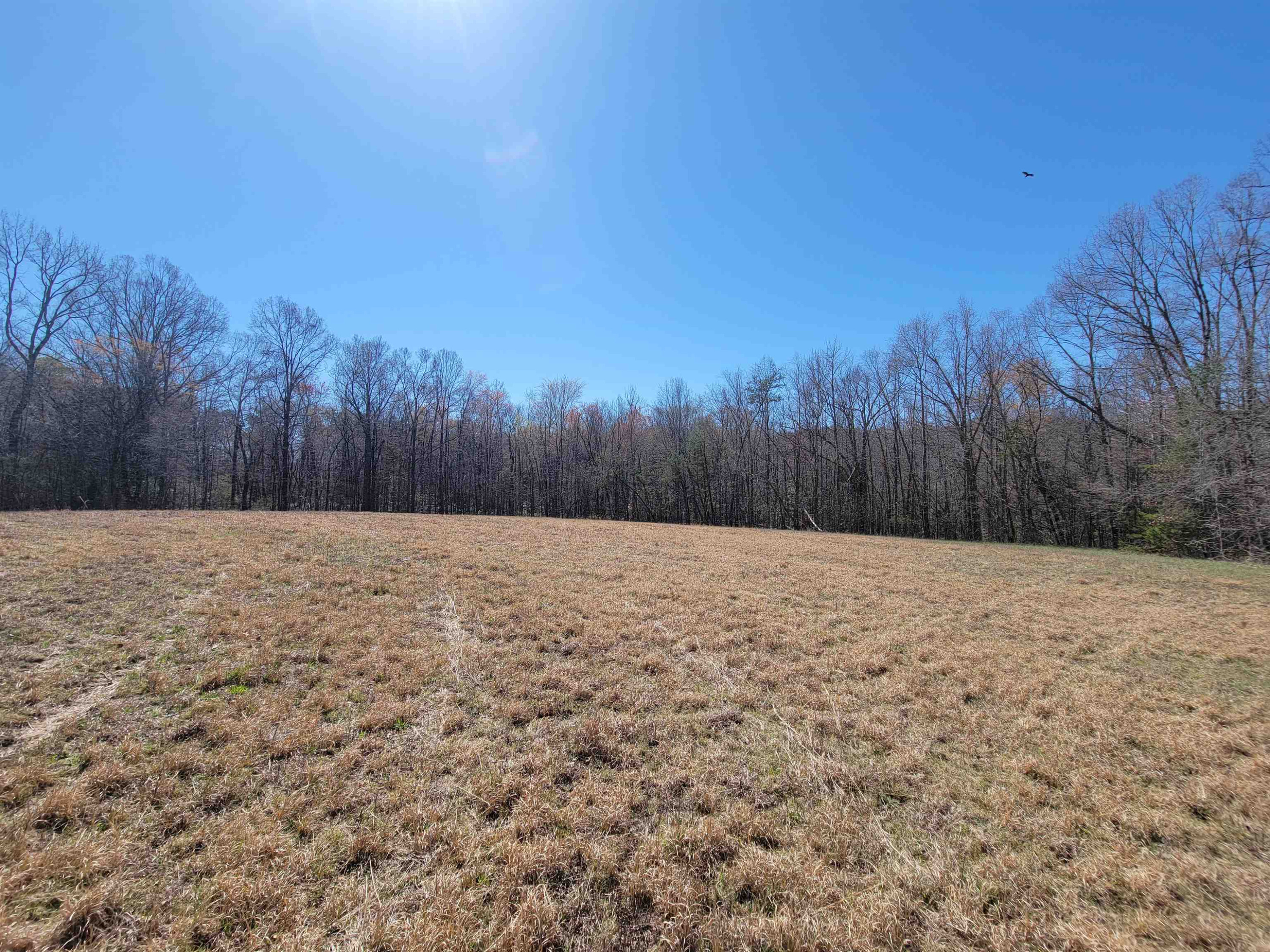 Photo 8 of 12 of 2110 Basin Creek Road land