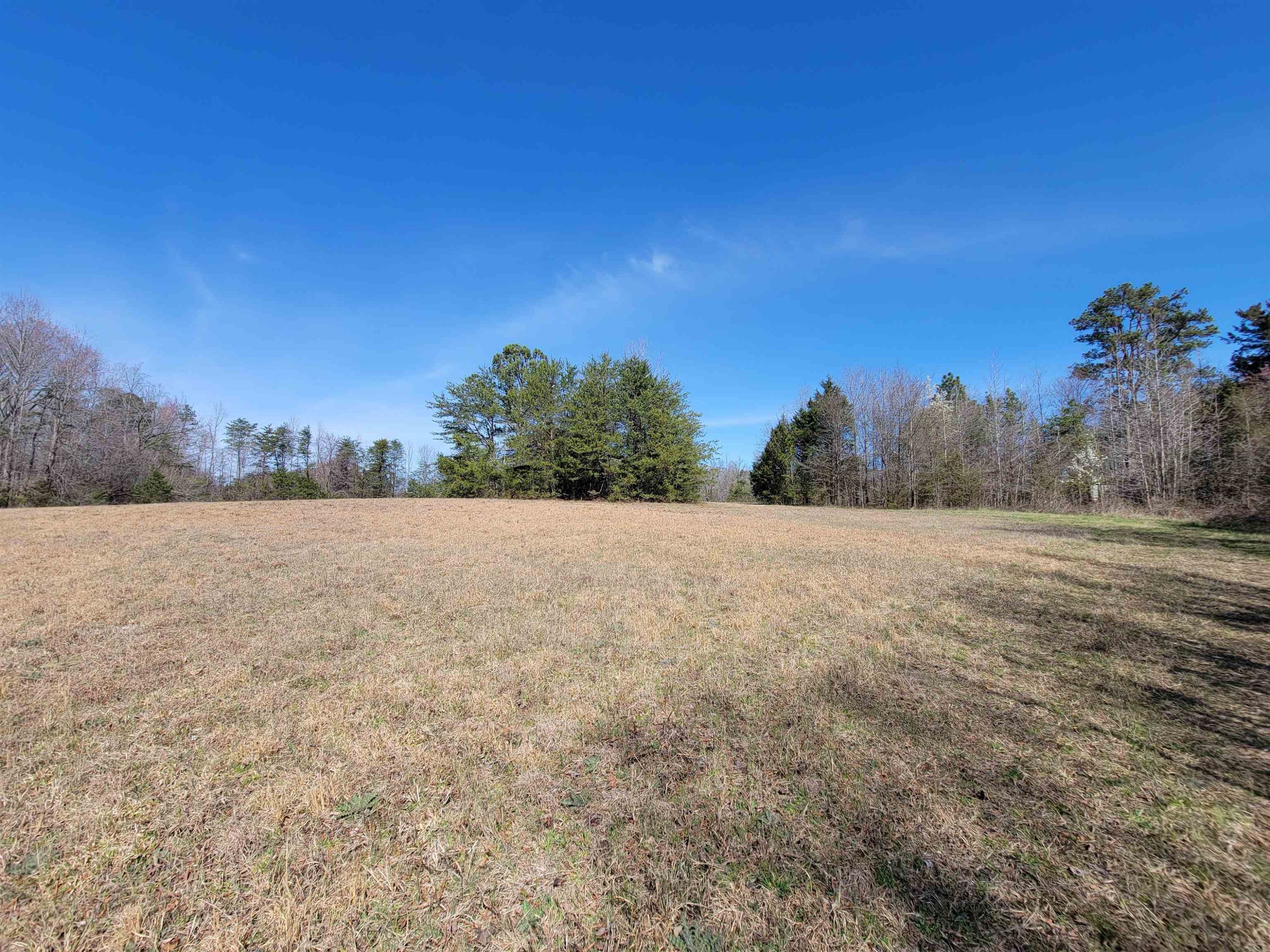 Photo 2 of 12 of 2110 Basin Creek Road land