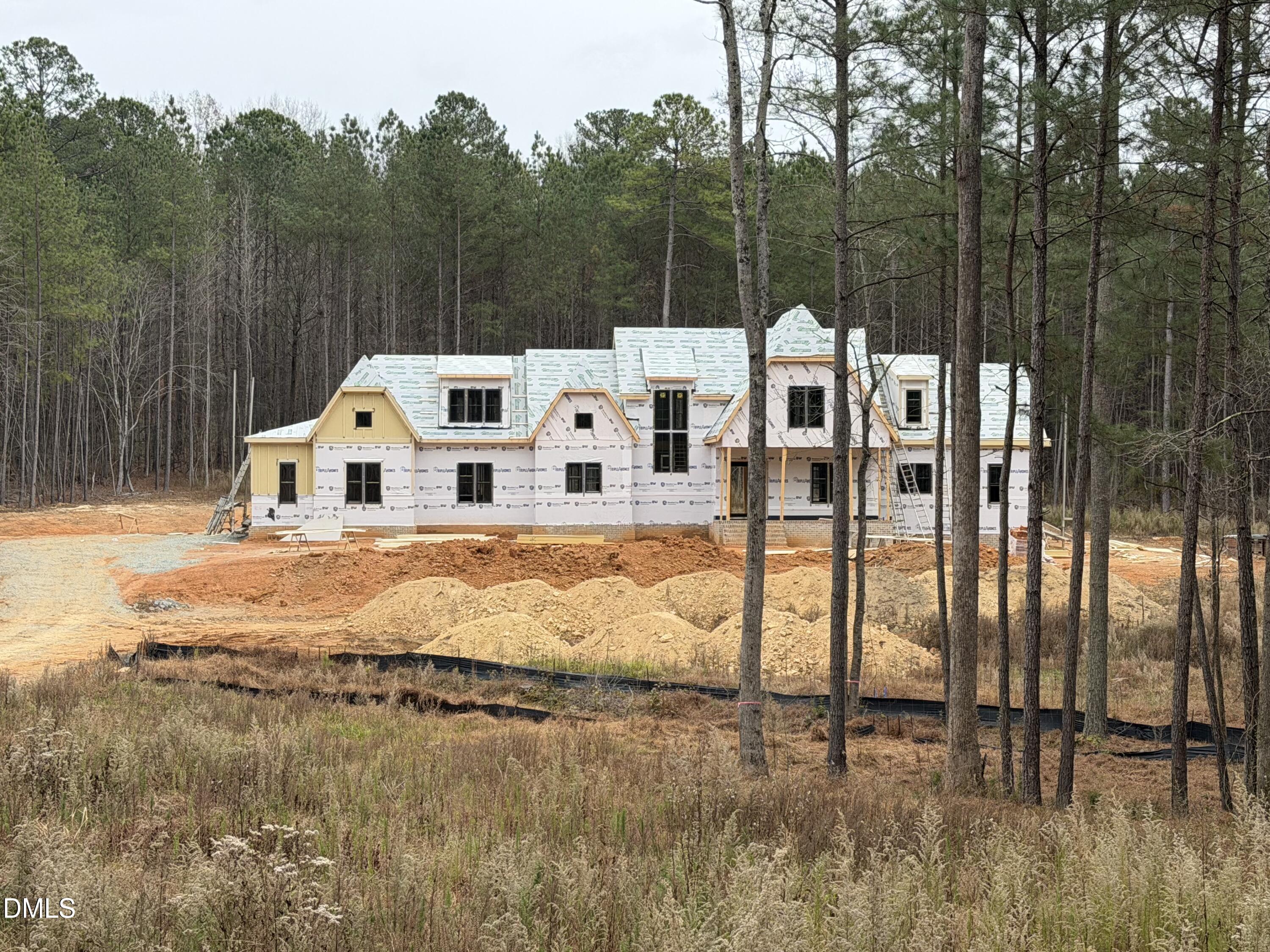 334 Blufftonwood Drive 45