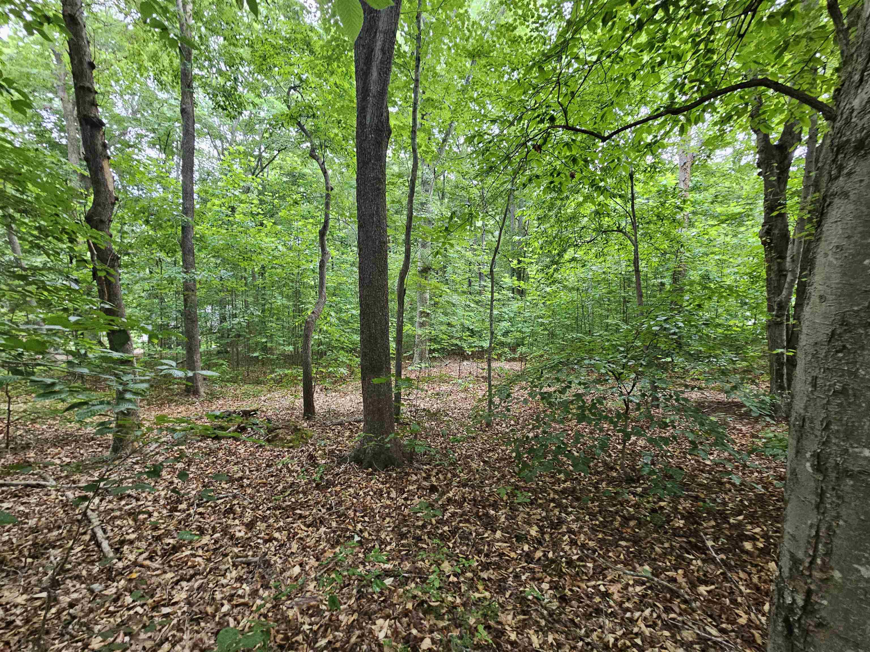 9956 Lakeside Terrace