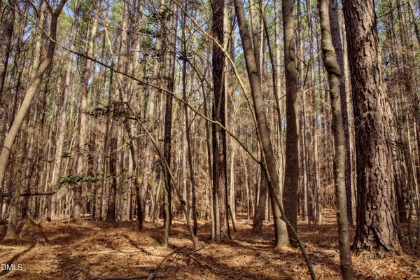 7023 SOUTHERN TRL, CHAPEL HILL, NC 27516 - Image d4833b19f09e1da55f0393fa45fd7efd/130794036