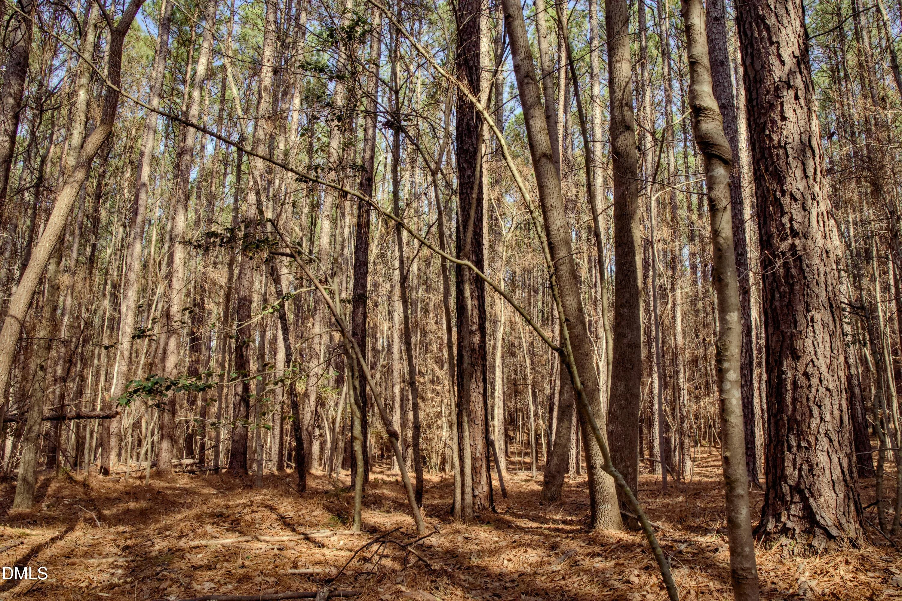 7023 Southern Trail