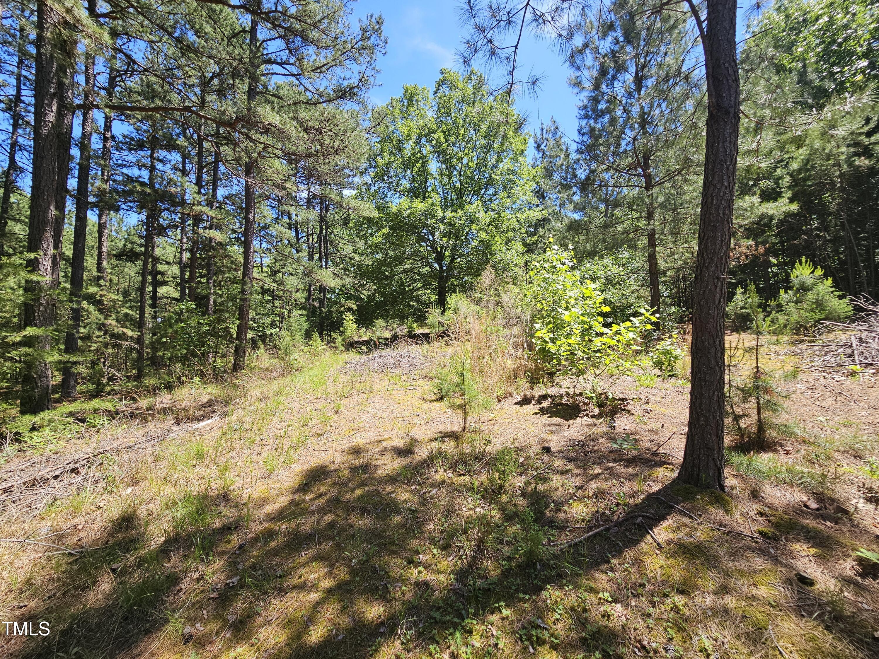 7686 Us Hwy 15 N