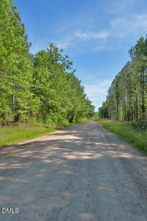D G F Ball Road