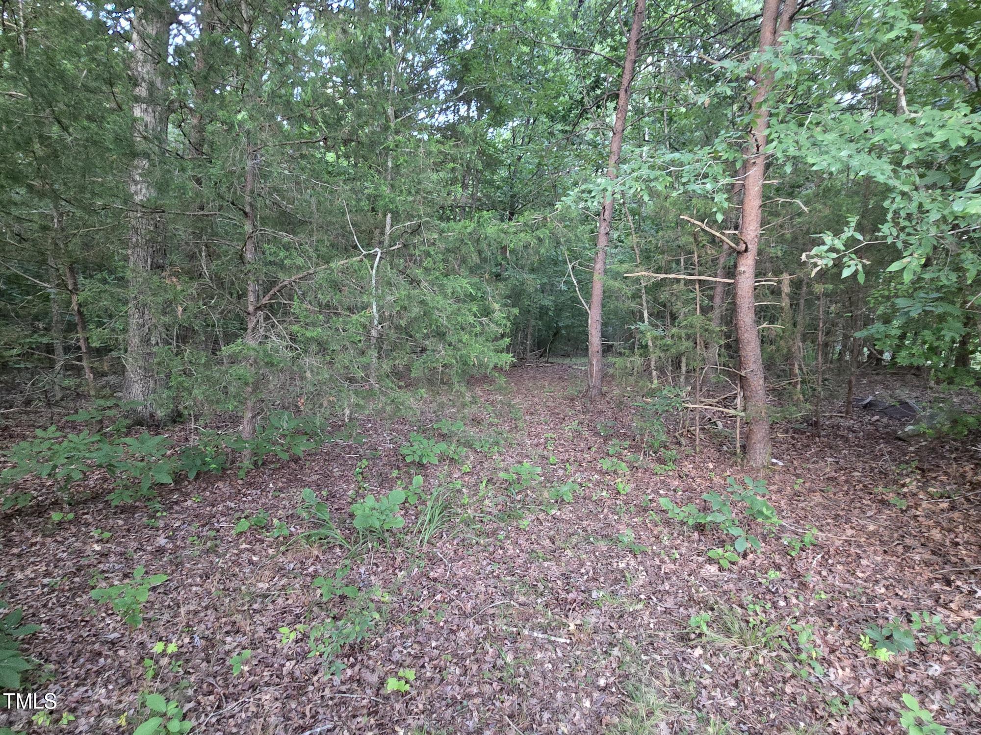 0 Bethel South Fork Rd Road
