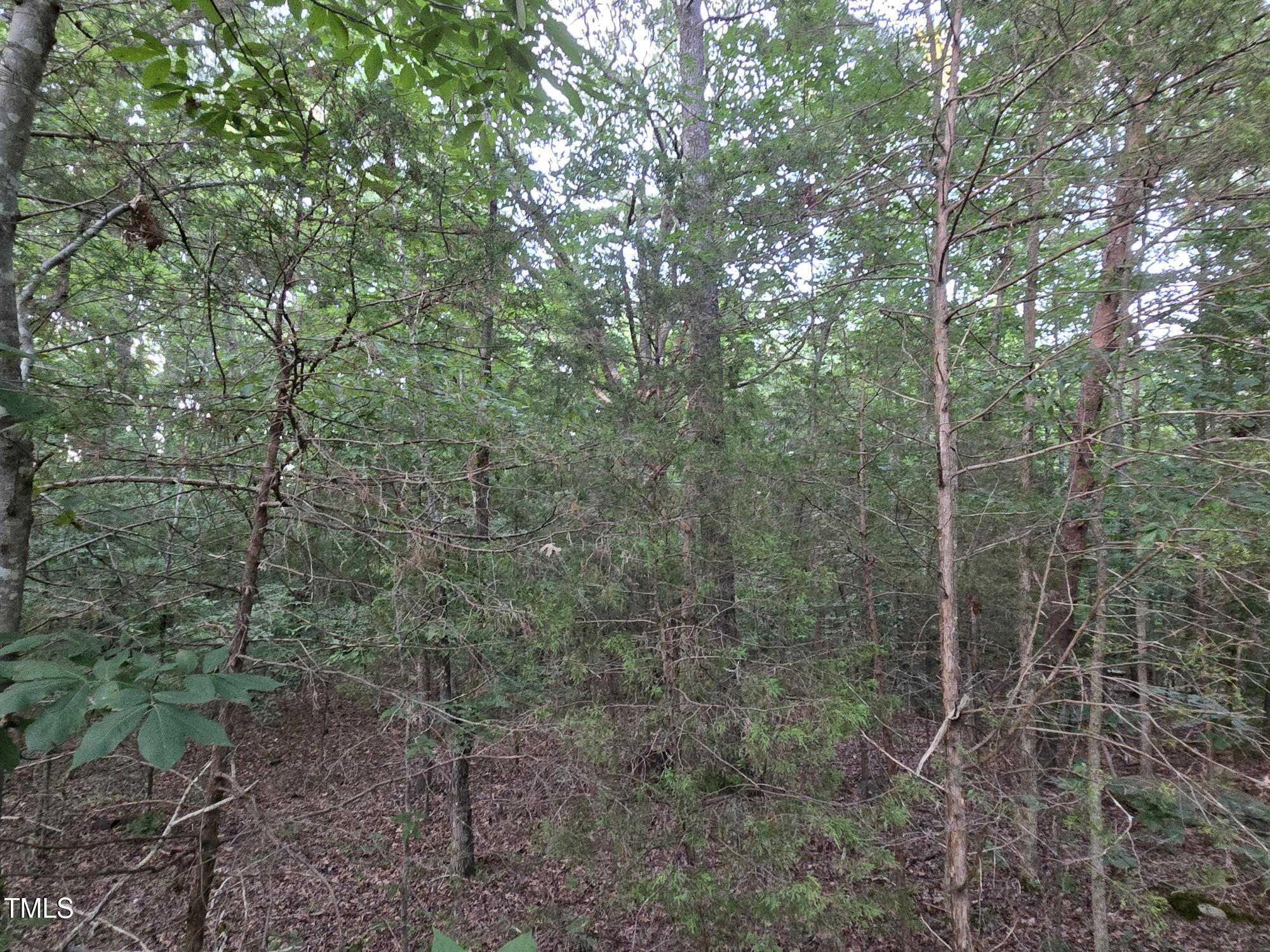 0 Bethel South Fork Rd Road