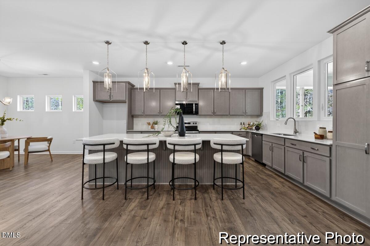 225 Rawhide Drive 1851