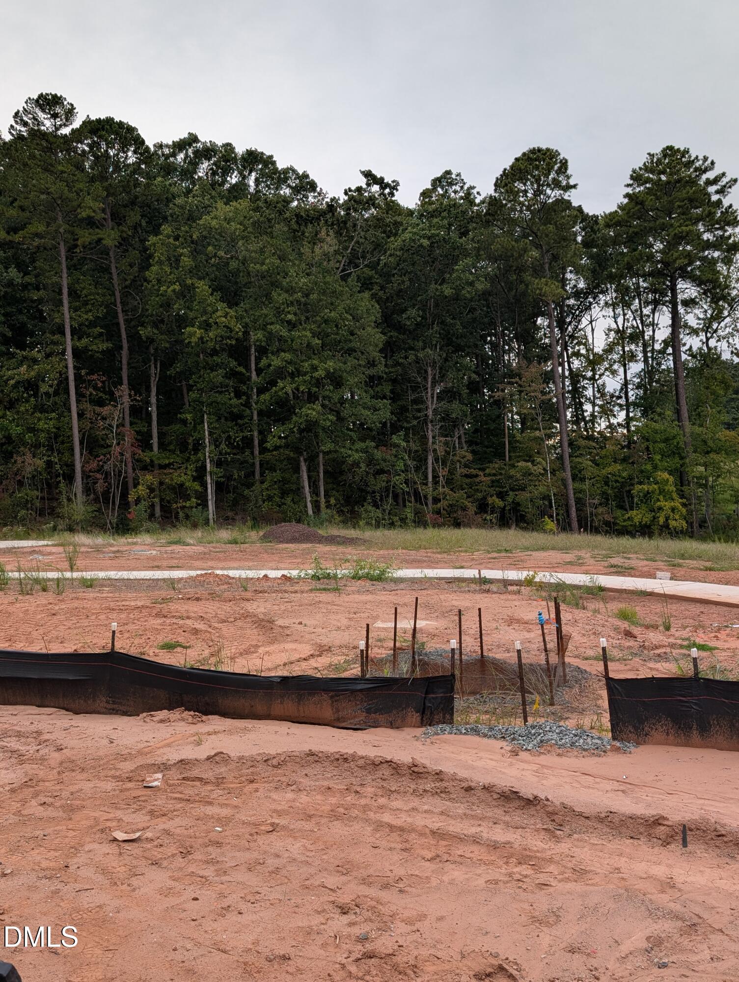 1107 Bell Heather Road 4